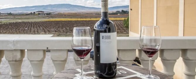 Bottle of Crianza red wine with two poured glasses on a table overlooking a Spanish vineyard